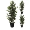 kunstplant, ficus, 8719202387674